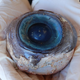 Illustration for article titled The mystery of Floridas monster eyeball has been solved